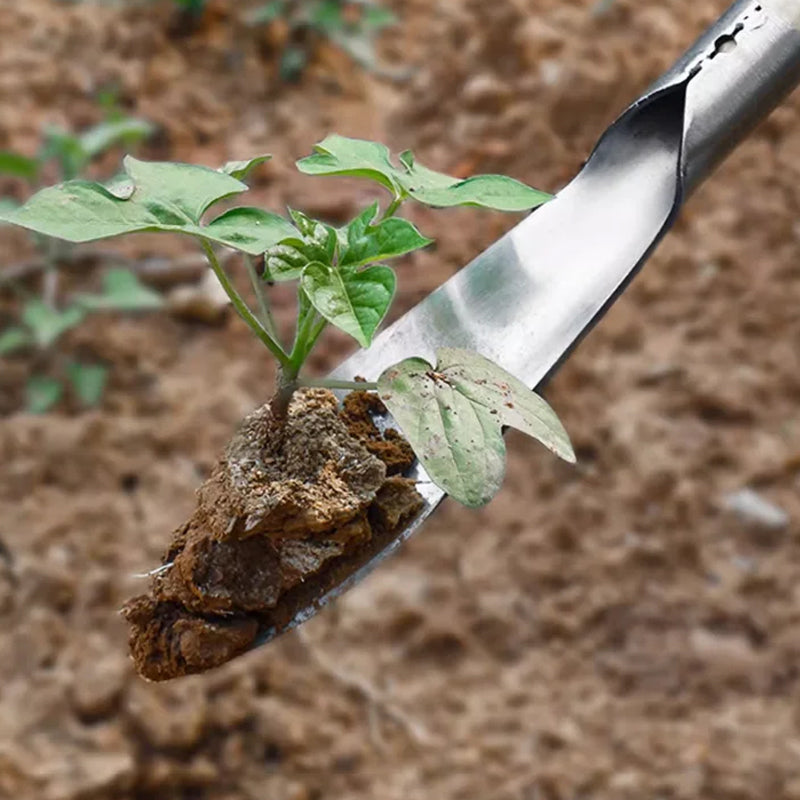 Stainless steel spade with wooden handle – garden tool for hard soils