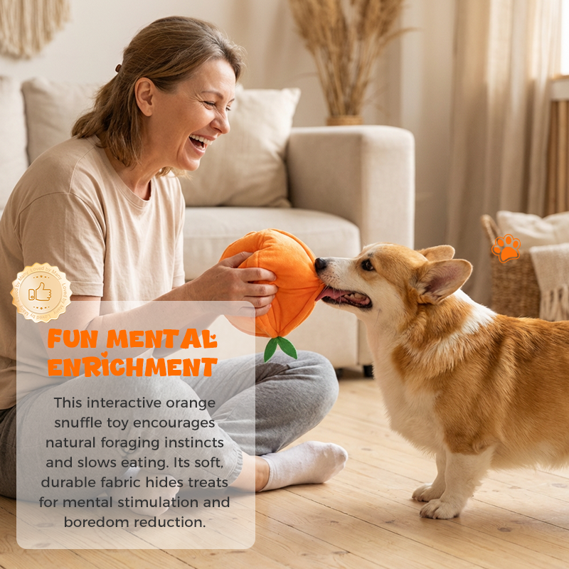 Interaktives Plüsch-Hundespielzeug mit Quietscher – Versteck-Puzzle für Leckerchen product image 10
