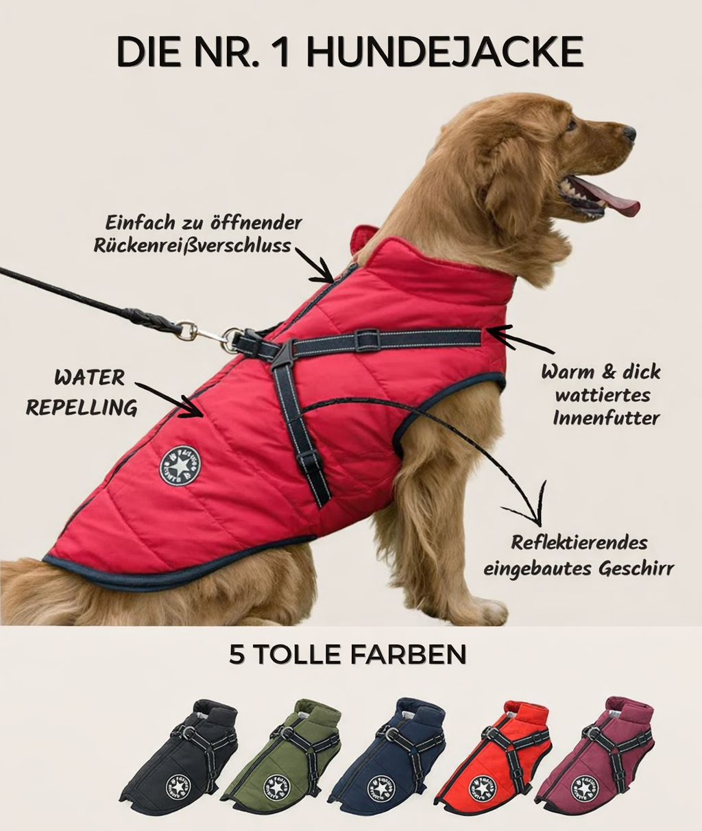 Hundejacke mit integriertem Geschirr – wind- und wasserabweisend