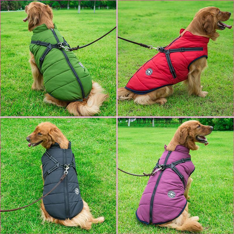 Hundejacke mit integriertem Geschirr – wind- und wasserabweisend
