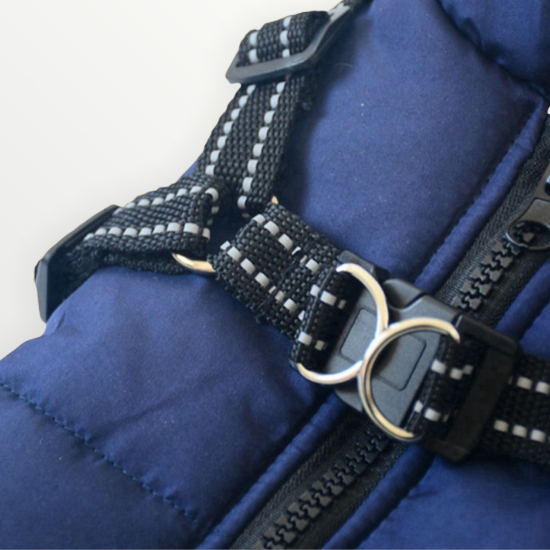 Hundejacke mit integriertem Geschirr – wind- und wasserabweisend