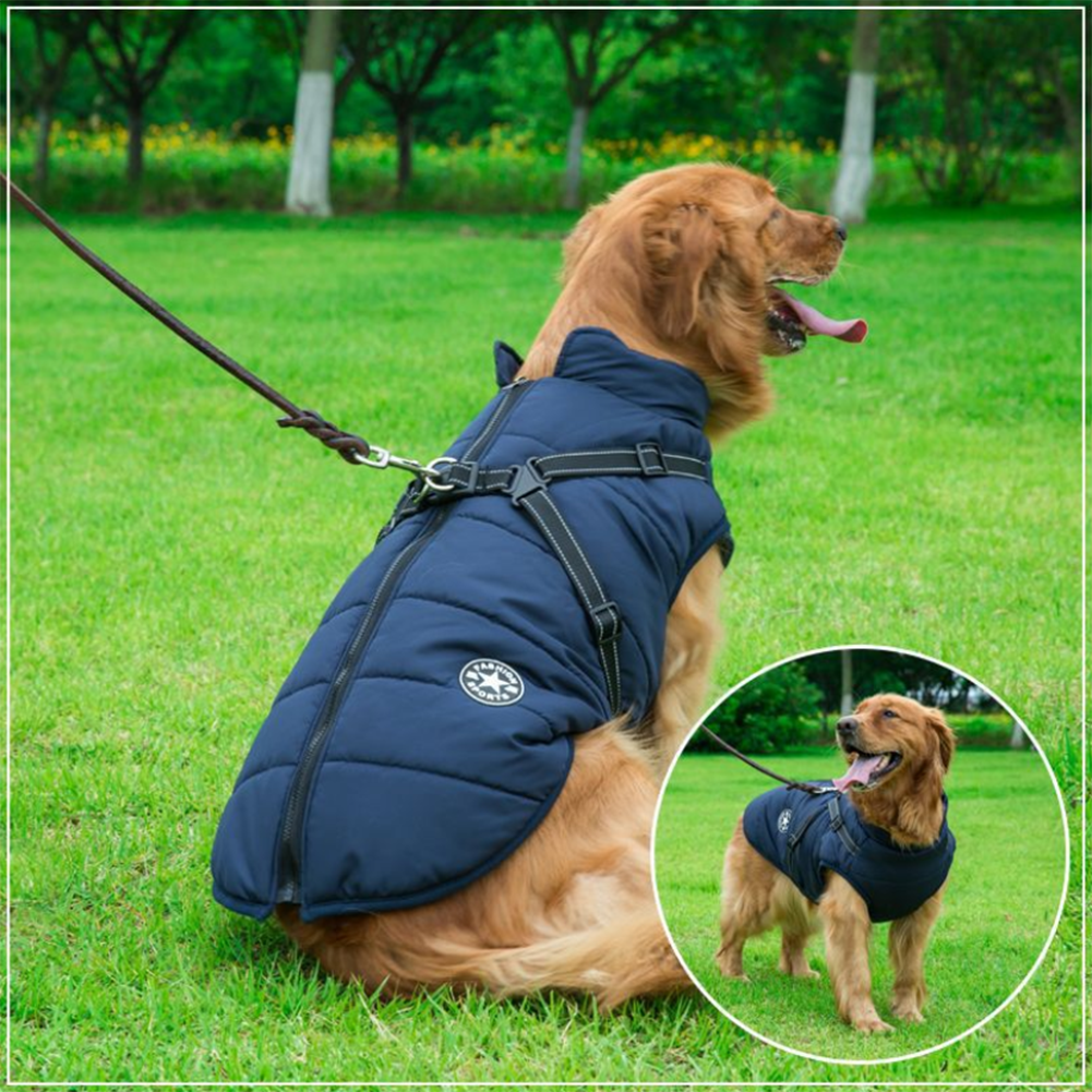 Waterproof winter dog jacket with integrated harness