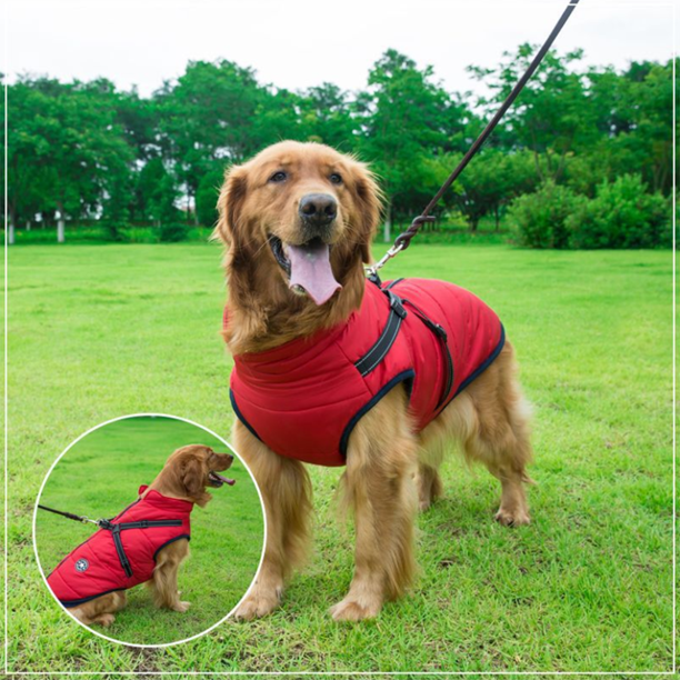 Waterproof winter dog jacket with integrated harness