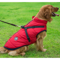 Waterproof winter dog jacket with integrated harness