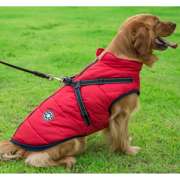 Waterproof winter dog jacket with integrated harness