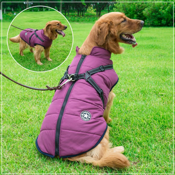 Waterproof winter dog jacket with integrated harness