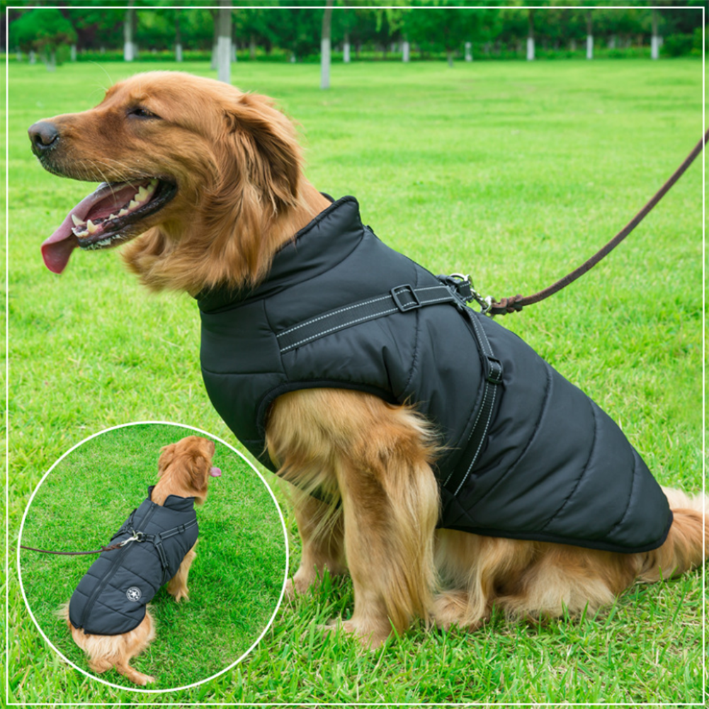 Waterproof winter dog jacket with integrated harness