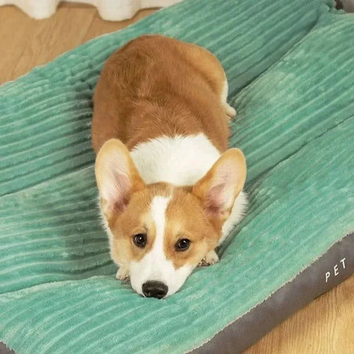Orthopädisches Hundebett – weiches Schlafbett für Hunde